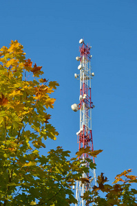 移动电话通信无线电电视塔桅杆细胞微波天线和发射机反对蓝天和树木