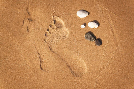 人类的足迹，沙滩上的沙子。大海的记忆。度假的问候。晚上在海滩上