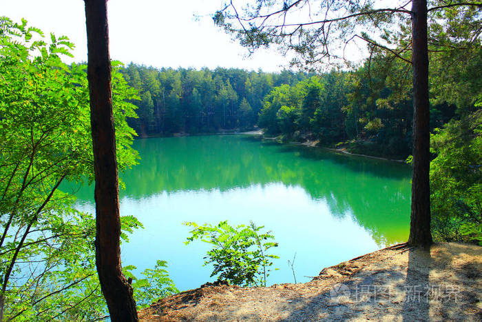 森林湖泊与翡翠水