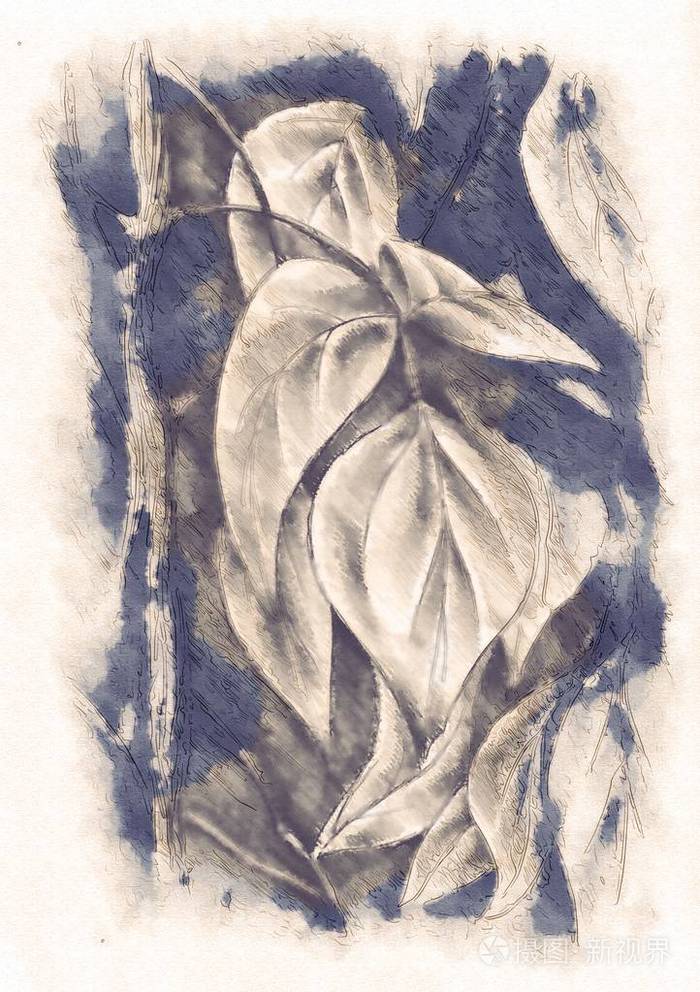 植物学构成艺术例证