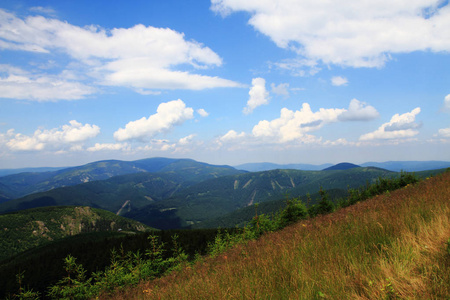 耶塞尼克山山脉和森林