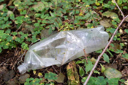 在森林里的塑料垃圾。藏的性质。塑料容器 ly