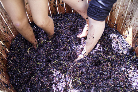 踩在葡萄上照片