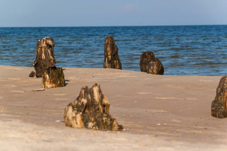 旧的沿海保护与防波堤。在海的木桩。秋天的早晨，在波罗的海的海滩上