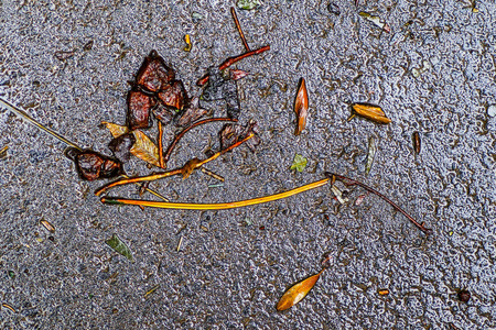 雨后的秋天印象图片