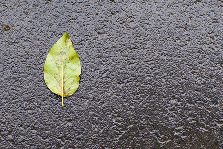 雨后的秋天印象图片