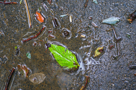 雨后的秋天印象图片