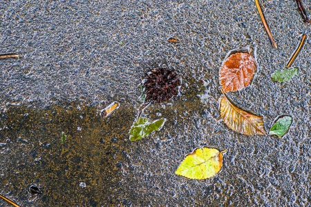 雨后的秋天印象