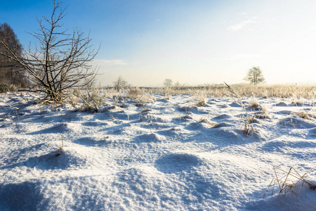 阳光明媚的早晨, 冬季的风景与积雪覆盖的田野