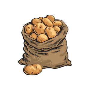 充满了成熟的马铃薯，手绘的麻布袋子