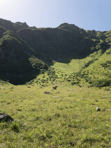 高山的地块，在奥地利美丽的高山峡谷。在夏天的高山得嘎斯坦小山谷。