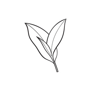 孤立的矢量素描卡通茶树叶树枝照片