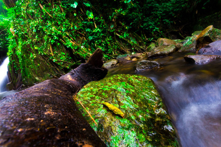 景观照片，美丽的瀑布，在雨林，沙拉武里，泰国的 kokedok 瀑布