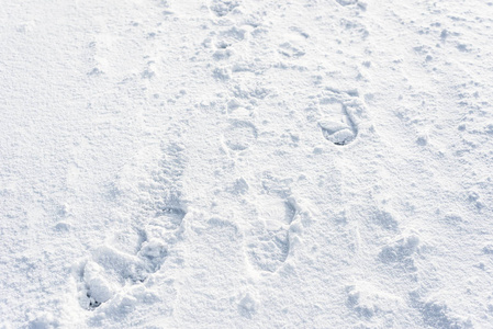 在雪的足迹, 干净的冬季背景设计
