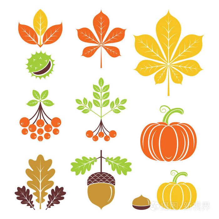 秋天的图标.矢量插画