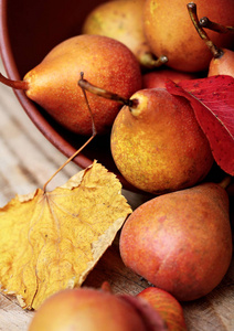 梨子。梨的收获。Closeup.Fresh 有机粘土板与秋梨叶木桌上。梨秋收。秋天的自然观。选择性的焦点