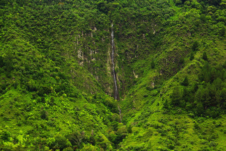 雨林和山的瀑布图片