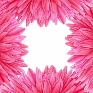 水彩粉色大丽花。植物的艺术