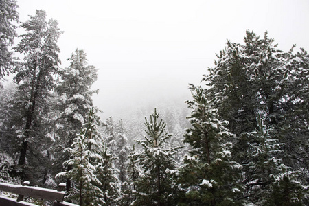 山顶上的高山上覆盖着雪雪