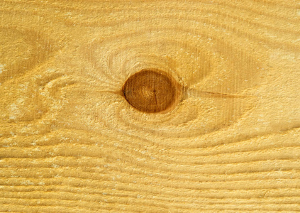 木制松板的纹理