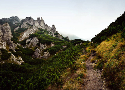 秋天岩石风景上的雾