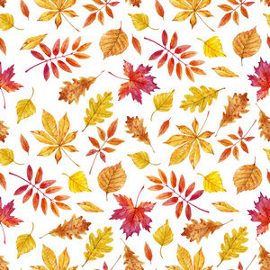 水彩秋天的树叶矢量模式