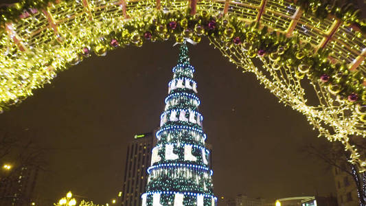 美丽的圣诞树发光站在公园的中央。户外圣诞树
