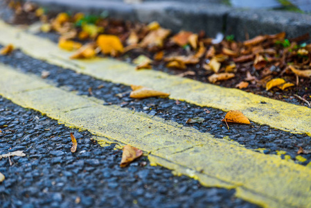 特写视图黄色道路标记线图片