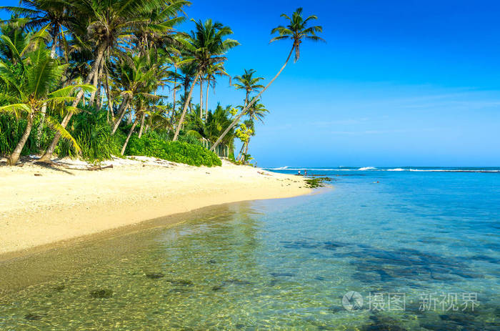 在斯里兰卡的热带海滩