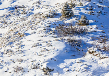 被雪覆盖的山的斜坡。背景