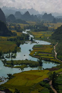 美丽的风景，在玉山 Con 公社 Trung 庆省区曹髦，越南水稻季节黎明