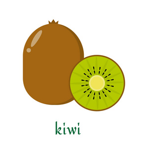 保护野生动物黑白符号矢量插图白色背景猕猴桃和蕨类植物, 新西兰的