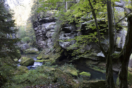 野生秋溪 Kamenice 在与砂岩巨石，捷克共和国捷克瑞士周围的景观