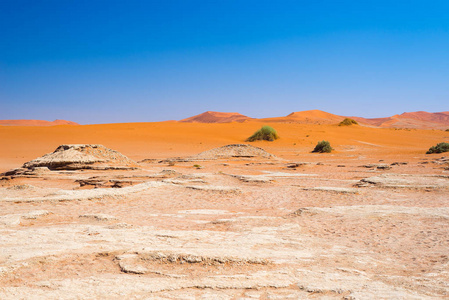 风景秀丽的索苏斯和 Deadvlei 粘土和盐田雄伟沙丘环抱。纳米布诺克国家公园 主要旅游景点和旅游目的地的纳米比亚