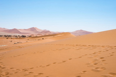 风景秀丽的索苏斯和 Deadvlei 粘土和盐田雄伟沙丘环抱。纳米布诺克国家公园 主要旅游景点和旅游目的地的纳米比亚