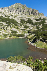 景观与 Dzhangal 高峰 Samodivski 湖，皮林山