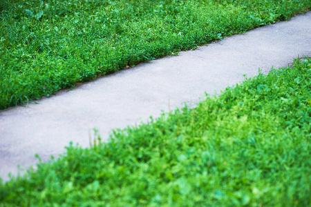 对角公园路径与绿草背景