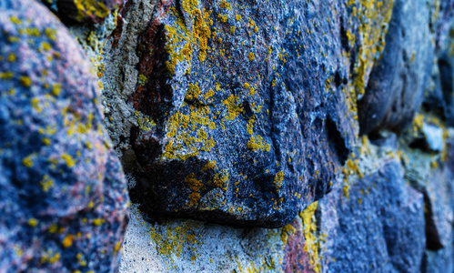 水平充满活力的酸苔藓石头纹理 bokeh 背景