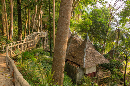 丛林小屋度假村