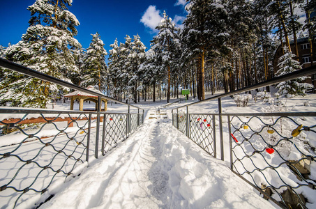 桥梁与金属栏杆和松树森林在白雪在温特