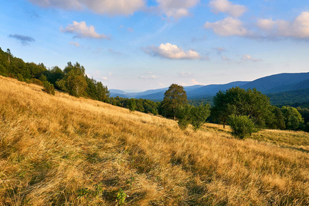 在早期的秋天，Bieszczady 国家公园 Bieszczady 山的美景尽收眼底 波兰语 Bieszczadzki 公园