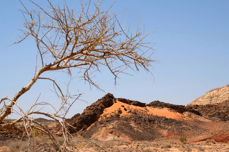 内盖夫沙漠干旱景观