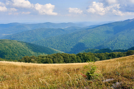 在早期的秋天，Bieszczady 国家公园 Bieszczady 山的美景尽收眼底 波兰语 Bieszczadzki 公园