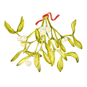 手绘幸运树绿色槲寄生的水彩插图.一个吻的象征.