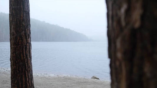 在湖，森林湖岸雨和雪的码头。湖，森林里的镜子表面覆盖着第一场雪。在水中，美丽的山景观的反射。树倒下