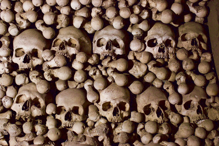 教堂的骨头图片