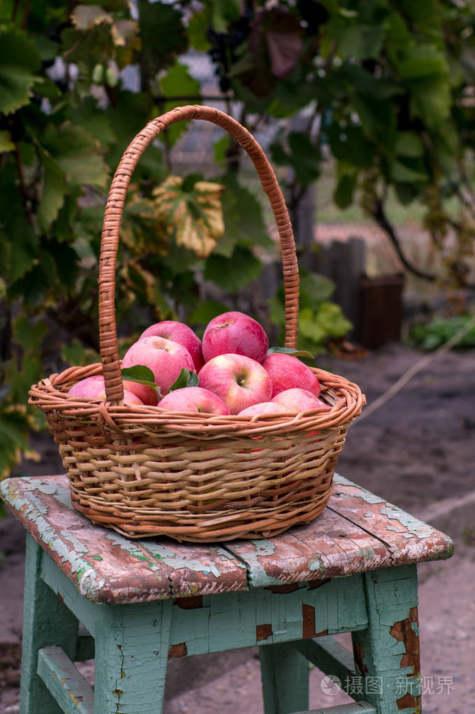 成熟的苹果的篮子里