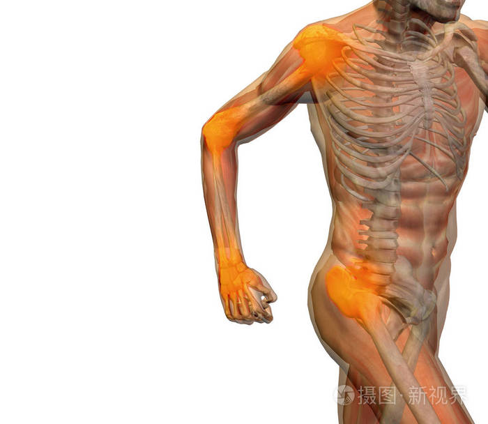概念性 3d 插图人类的人解剖或健康设计 联合或关节疼痛 疼痛或白色背景的医疗健身 医学 骨 护理 伤害 骨质疏松