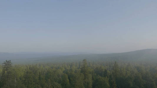 山峰查看山林木。多山的地形和森林在雾中。美丽的森林和山