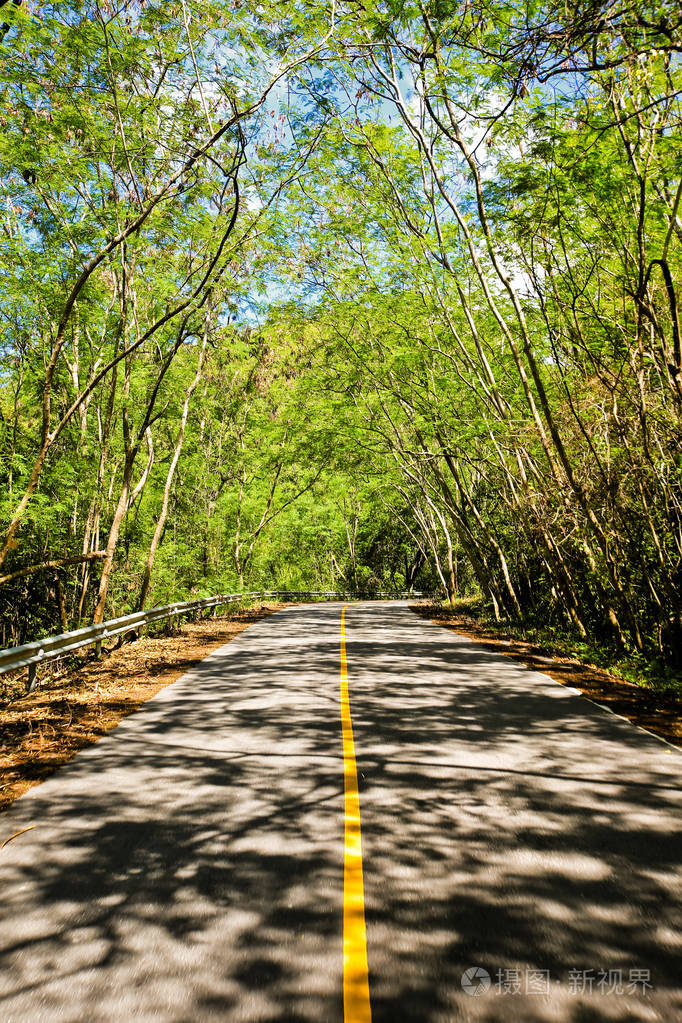 新鲜的绿树弯道